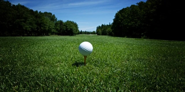 gold ball in top of grass