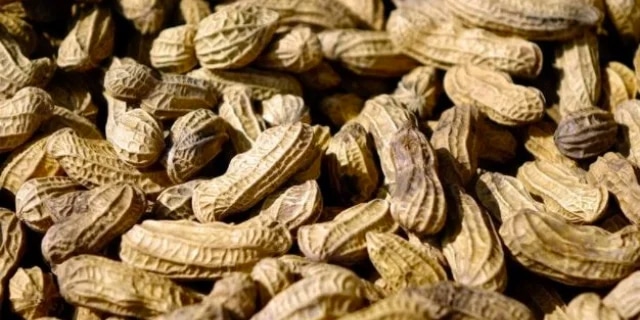 lots of peanuts